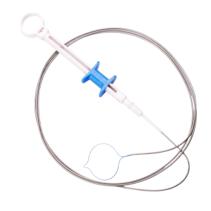 Endoloop